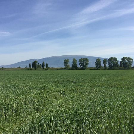 Casale Morotti Villa Bevagna Kültér fotó