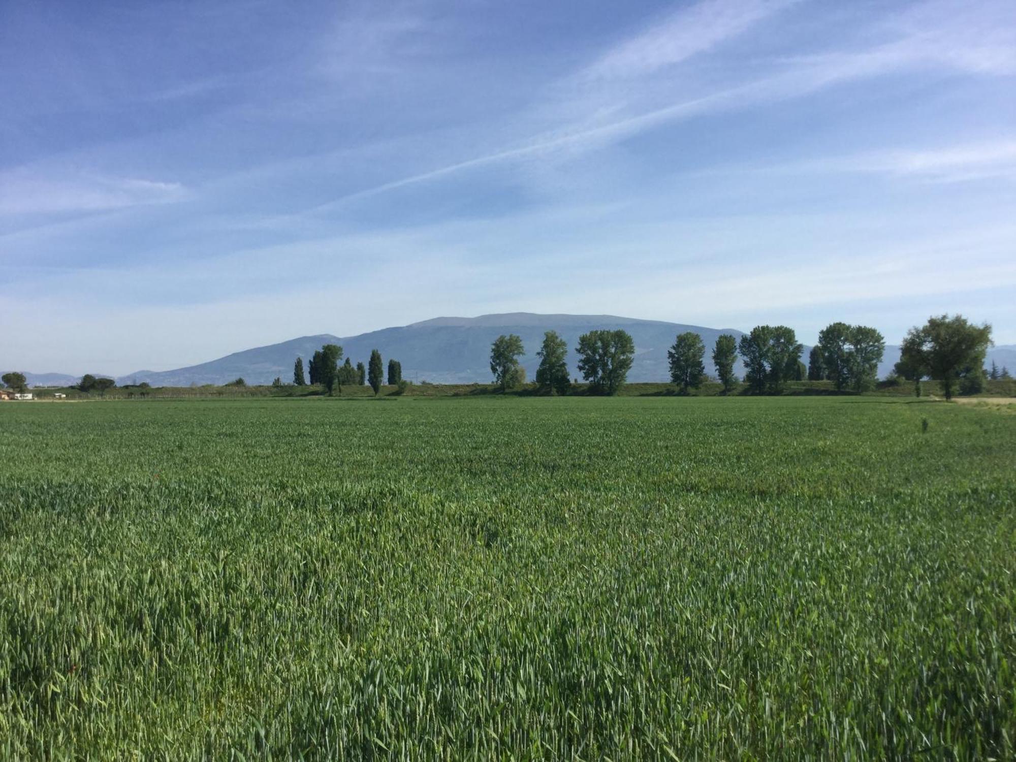 Casale Morotti Villa Bevagna Kültér fotó